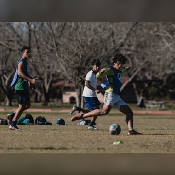 Meet your Posher, Youssef - Picture 1 of 1